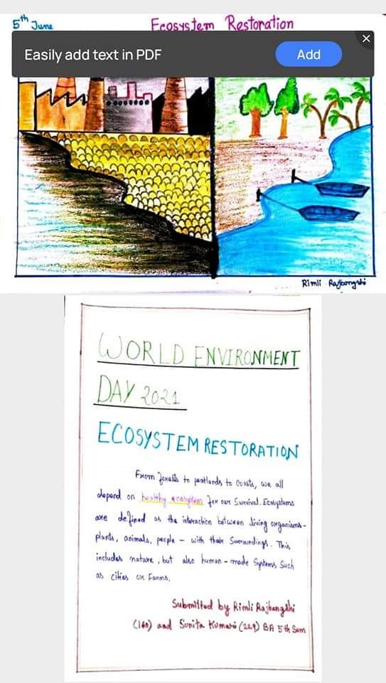 Environment day Activity